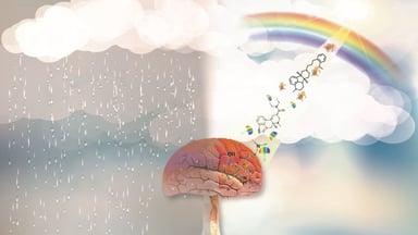 LSD-like antidepressant in the brain animation.
