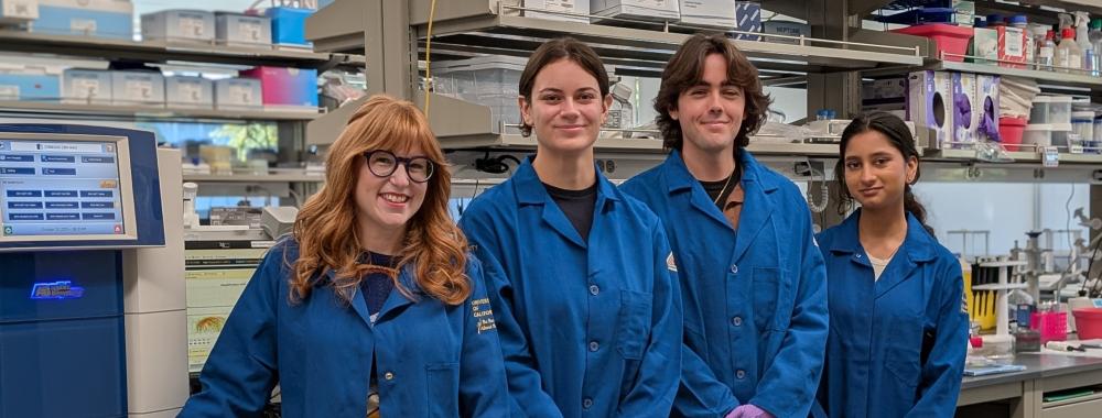 Danielle Stolzenberg and her team of 3 students working on the pilot grant