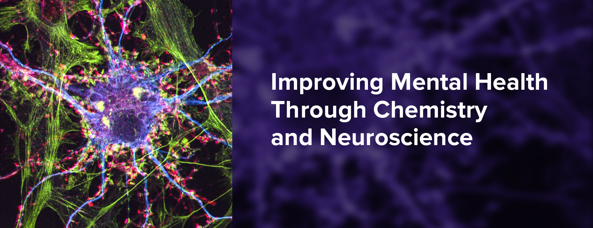 IPN: Improving Mental Health Through Chemistry and Neuroscience