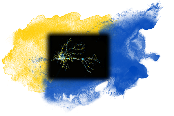 neuron treated with jrt stylistically imposed on davis yellow and blue splashes
