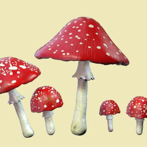 Cartoon Mushrooms