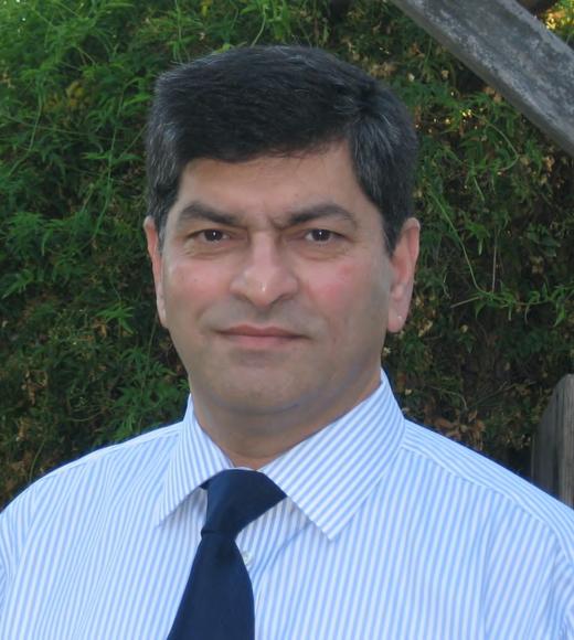portrait of subhash risbud