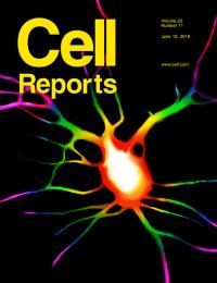cover of cell reports journal with a rainbow neuron