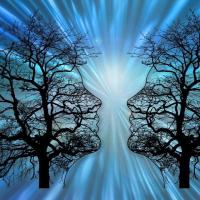 two silhouettes of faces looking at each other. silhouette is filled with tree branches