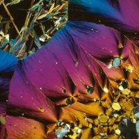 Trippy flower 