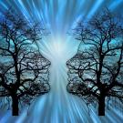 two silhouettes facing each other. tree branches fill the silhouettes 
